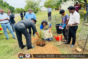Faculty Day 2024: Commemorating a Year of Dedication