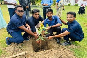 Union Mark Faculty Day with Tree Planting